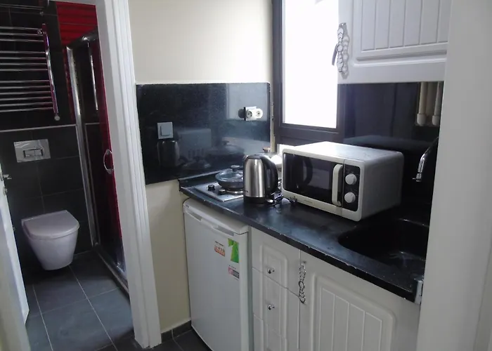 Volter Group Taksim Apartment Istanbul